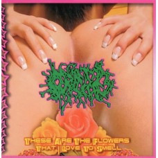 ORIFICE - These are the Flowers I like to Smell CD